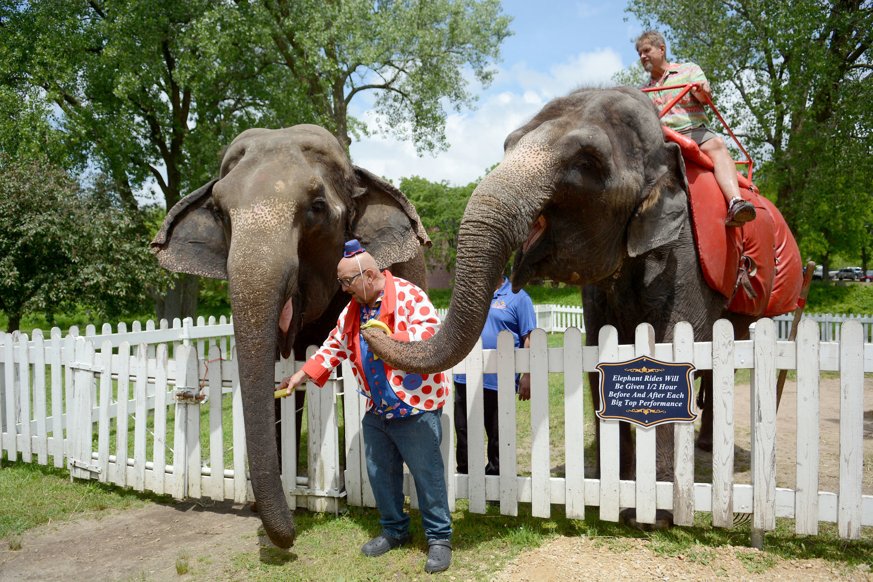 072419-bara-news-circus-world-04
